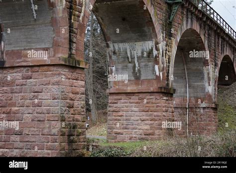 Trees and hotels in Black Forest of Germany Stock Photo - Alamy