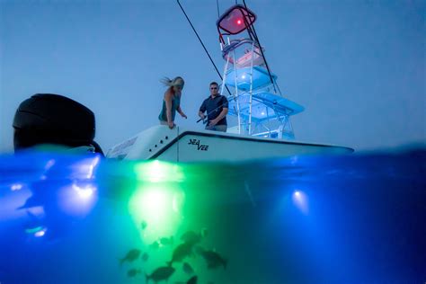 Best Underwater Boat Lights For Fishing - Unique Fish Photo