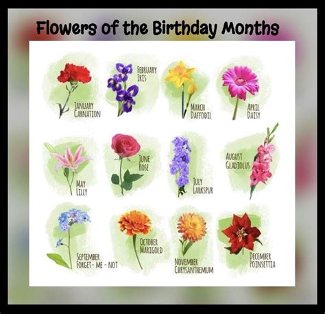 Birthday month flowers 💐 | Birth month flowers, Birthday month flowers, Flowers