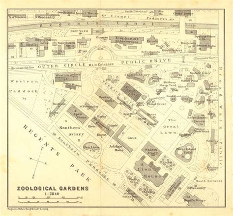 1907 London Zoo Map, Original Antique London Zoological Garden Map, Baedeker | Zoo map, London ...