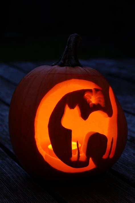 Free Images : record, light, dark, orange, cat, halloween, holiday ...