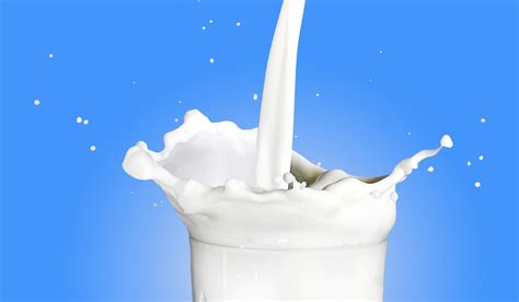 Everything You Need to Know About A2 Milk