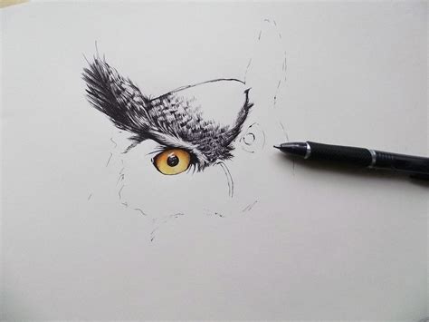 Angry owl,ballpoint - WIP by Mishice on DeviantArt