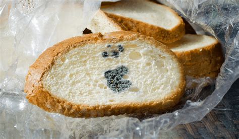 How Does Bread Get Black Mold? | Is Eating Black Bread Mold harmful?