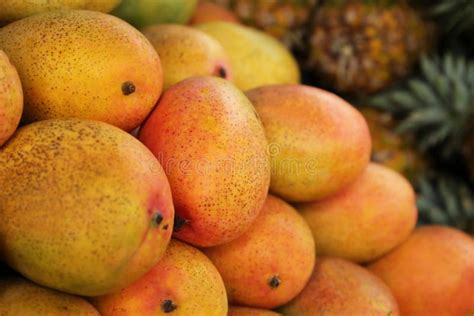 Pile of Delicious Ripe Yellow Mangoes, Closeup Stock Image - Image of ...