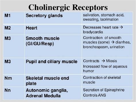 Clinical pharmacology A N S PART II Cholinomimetic