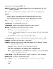 Sheep Brain Functions - Functions for Brain Structures: CBNS 106 ...