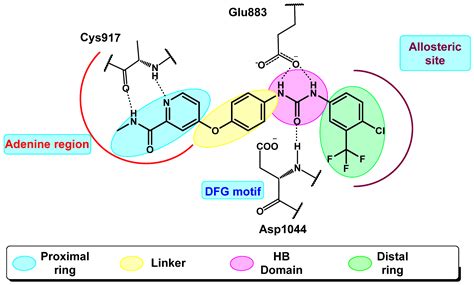 Molecules | Free Full-Text | Discovery of New VEGFR-2 Inhibitors: Design, Synthesis, Anti ...