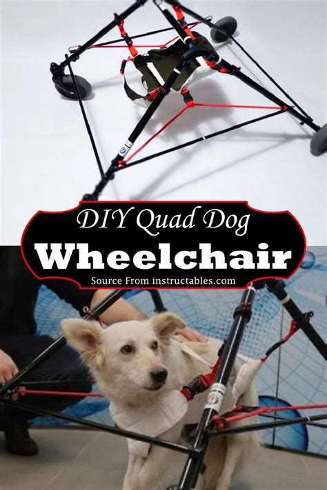 DIY Dog Wheelchair Plans & Tutorials for Mobility-Challenged Dogs