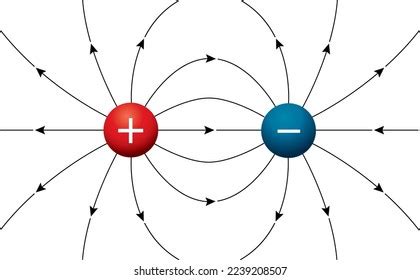 Electric Dipole Electric Field Resulting Forces Stock Vector (Royalty ...