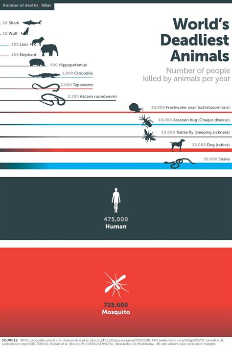 The deadliest animal in the world | Bill Gates