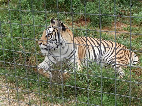 THE 10 BEST Zoos & Aquariums in Wisconsin (Updated 2024)