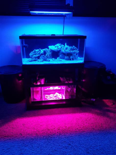 Setting Up First Reef Tank | Reef2Reef