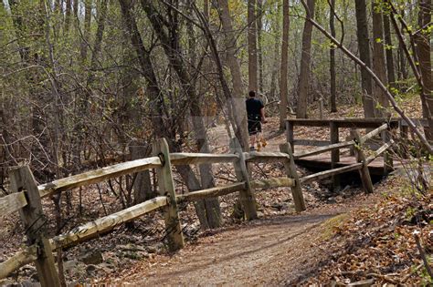 Winding Path by AdAstra-Photography on DeviantArt