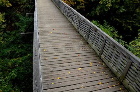 Medieval Oak Wood, Bolted. Bridge Over the Moat Stock Image - Image of wood, moat: 258797347