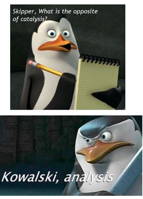 Skipper what's the opposite of catalysis | Kowalski, Analysis | Know Your Meme