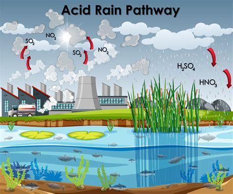 Hiện tượng mưa axit là gì? Sự hình thành, nguyên nhân và tác hại