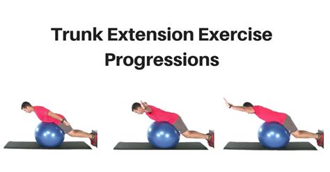 Trunk Extension Exercise Progressions - My Rehab Connection