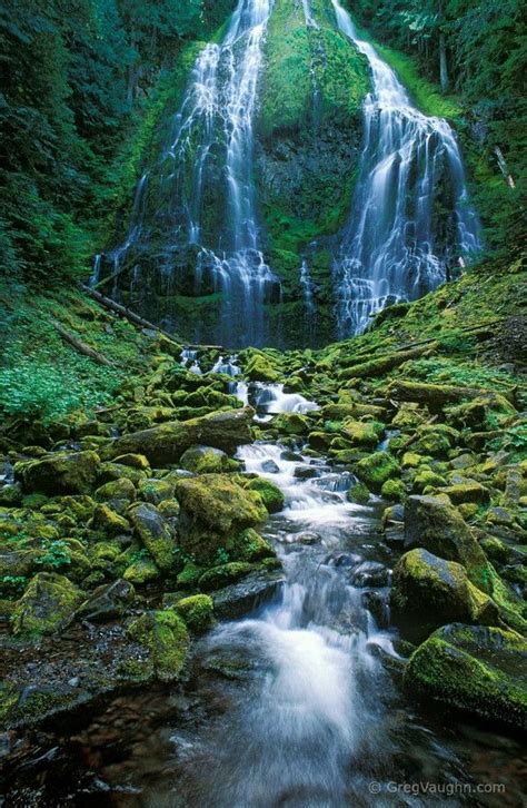 Lower Proxy Falls, Three Sisters Wilderness, Willamette National Forest, .Cascade Mountains ...