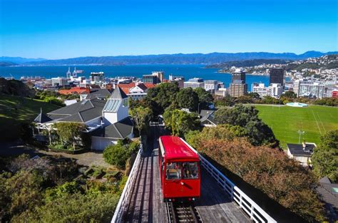 14 Things to Do in Wellington, New Zealand | Celebrity Cruises