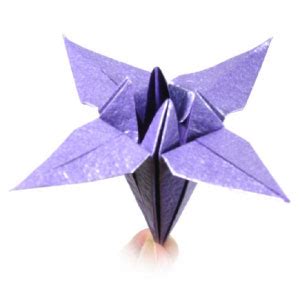 How to make a classical origami iris flower: page 1