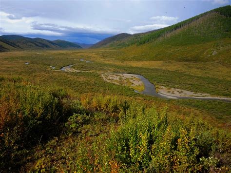 Ancient Horse Trails in the Khentii Mountains of Mongolia