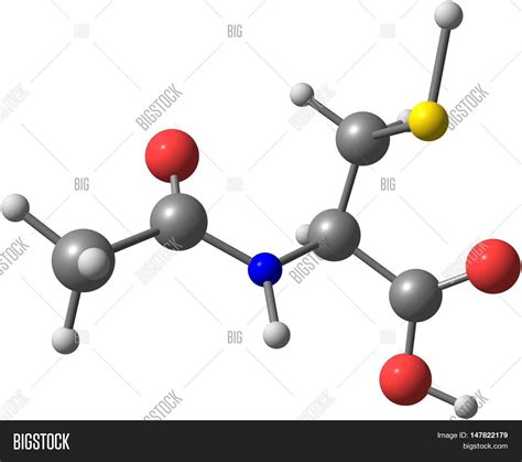 Acetylcysteine Image & Photo (Free Trial) | Bigstock