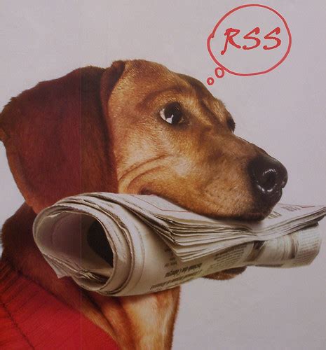 Newspaper dog thinking RSS | adaptation from original www.fl… | Flickr