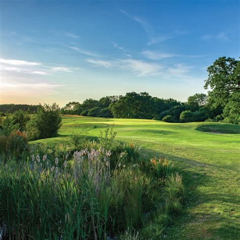 Welcome to Horsham Golf | Golf Course | West Sussex