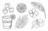 Whiskey And Soda Cocktail Tropical Flowers Leaves Coloring Page  sketch template