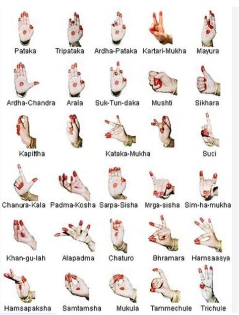 List of 28 mudra of Bharatanatyam (Like Pataka, Tipataka) List it like ...