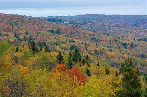 Lutsen Webcam Offers Live Look At North Shore Fall Colors