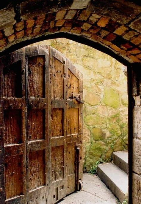 Would love this as a front door!!! | Beautiful doors, Door design, Wooden doors