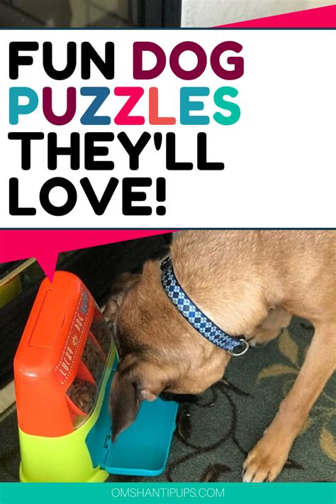 10 Super Fun Dog Puzzles Your Dog Will LOVE!! in 2021 | Best dogs, Dog ...