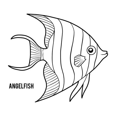 Angel Fish Drawings