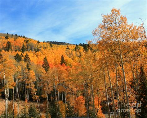 Santa Fe Mountains Photograph by Denielle Gallegos - Fine Art America