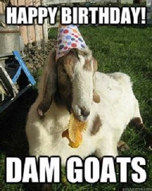 Happy birthday cow Memes