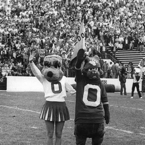 Bobcat and Bobkitten at a OU football game. :: Ohio University Archives | Ou football, Ohio ...