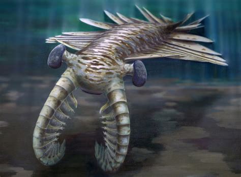 It’s got 16,000 eyes on you—the vision of a Cambrian-era predator | Ars Technica