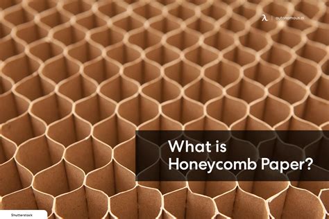 What is Honeycomb Paper? Uses, Benefits, and More!