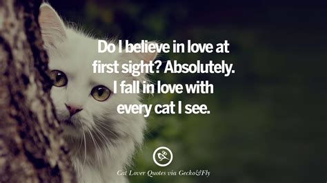 25 Cute Cat Images With Quotes For Crazy Cat Ladies, Gentlemen And Lovers