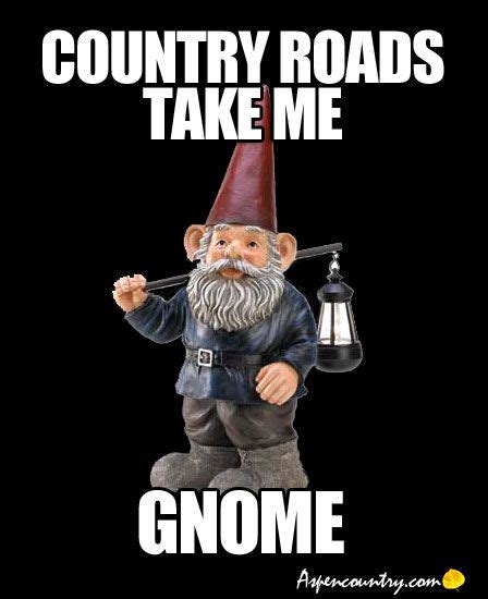 Garden Humor: Little Gnome Quotes #1 | Funny gnomes, Gnomes, Puns