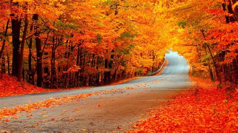 Tumblr Autumn Desktop Wallpapers - Top Free Tumblr Autumn Desktop Backgrounds - WallpaperAccess