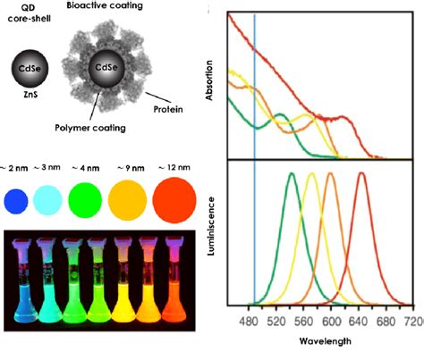 5: Scheme of Quantum Dots nanoparticles. Left top panel: QDs of CdSe ...