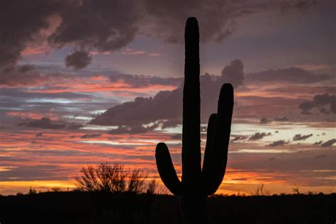 Saguaro National Park in sunlight and shadow