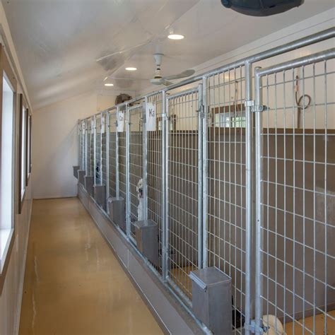 Insulated Dog Kennel Interior | Dog Kennel Design Photos