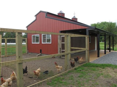 Wire on the outside | Building a chicken coop, Goat barn, Chickens backyard