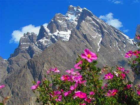 K7 Base Camp Trek | Active Tours Pakistan