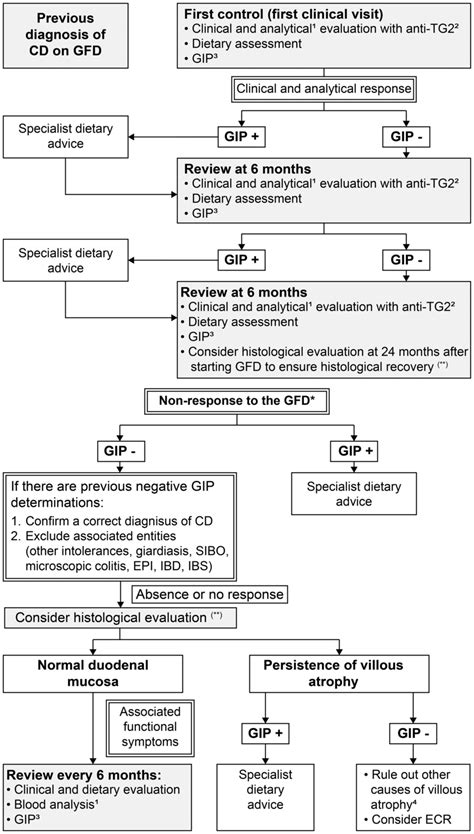 Algorithm for the monitoring of gluten‐free diet. ¹Annual analysis:... | Download Scientific Diagram