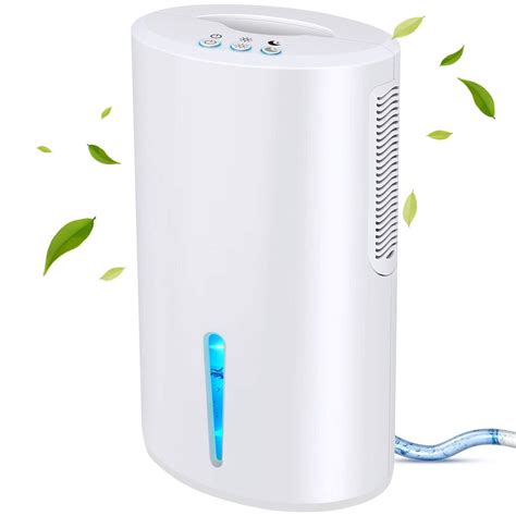 The 7 Best Small Dehumidifiers for 2024 - Top Small Dehumidifier for Bathrooms